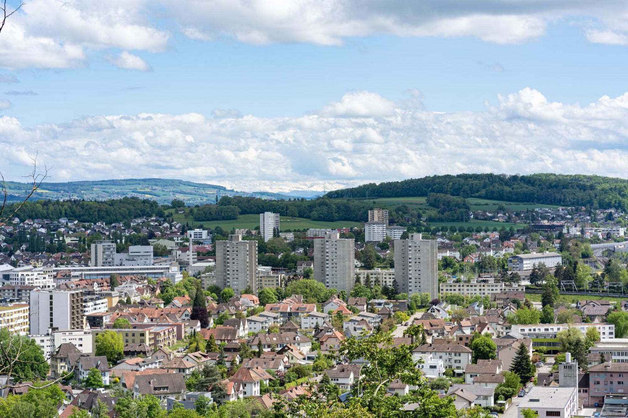 Tiny House Chez Claudine - Relaxen, Workspace, Naehe Thermen, Netflix, Free Parking & Wifi Brugg (Aargau) Exterior foto