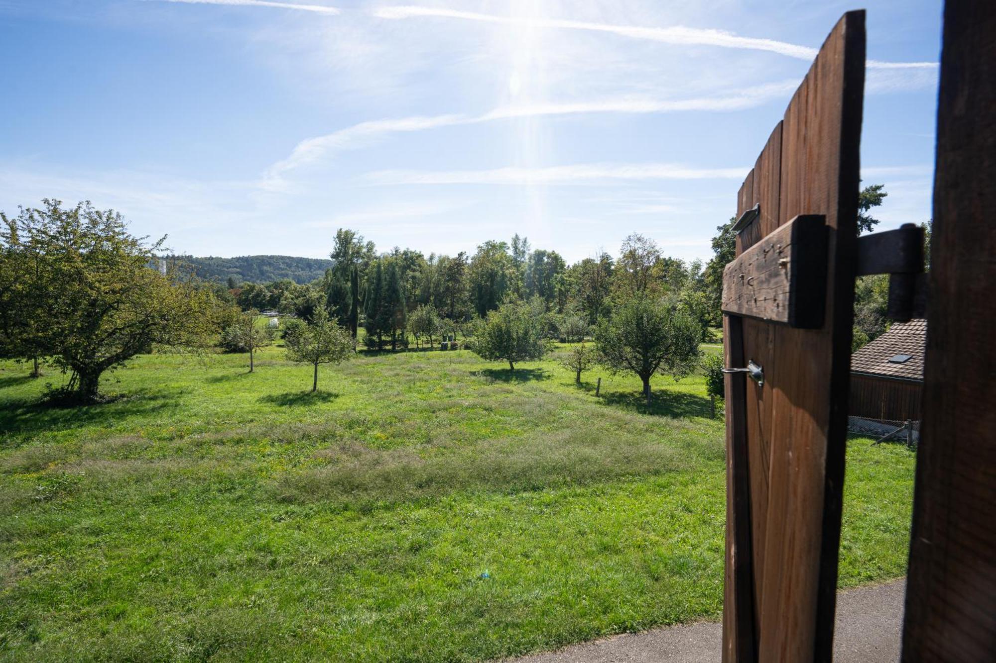 Tiny House Chez Claudine - Relaxen, Workspace, Naehe Thermen, Netflix, Free Parking & Wifi Brugg (Aargau) Exterior foto